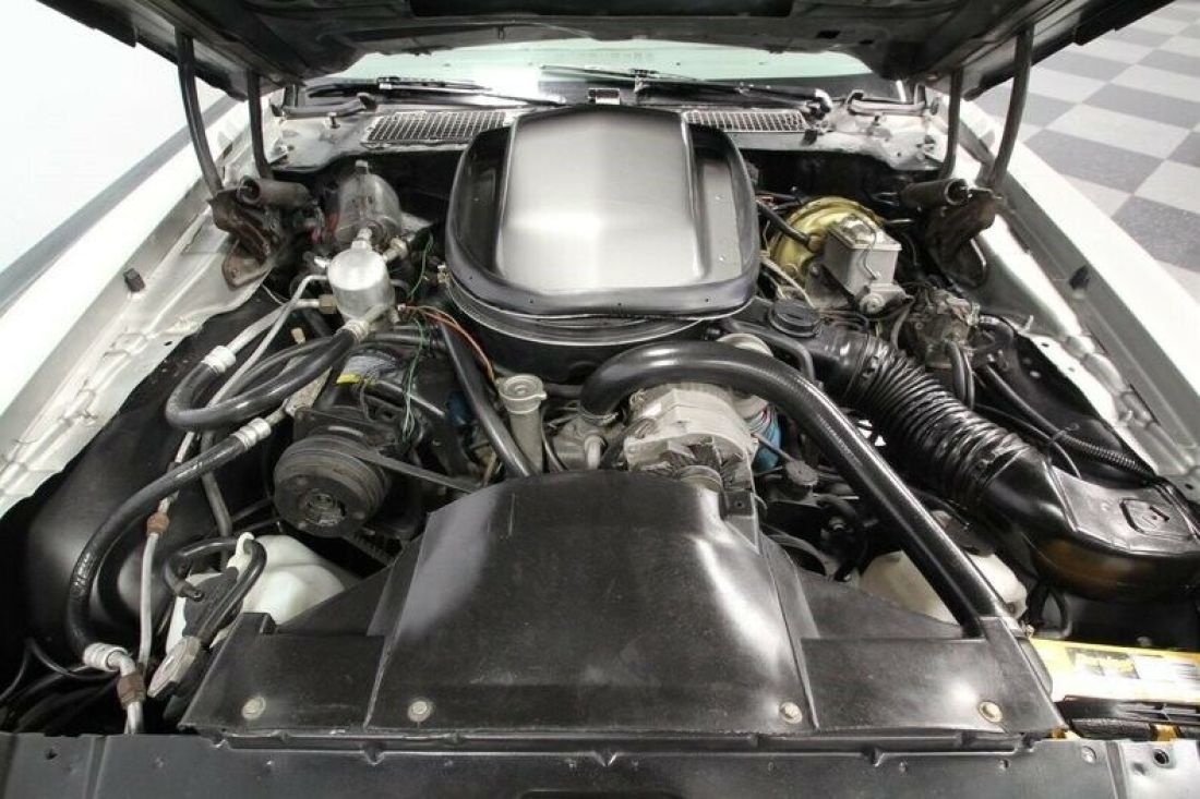 1979 Pontiac Firebird Trans Am 10th Anniversary Edition - photo 4