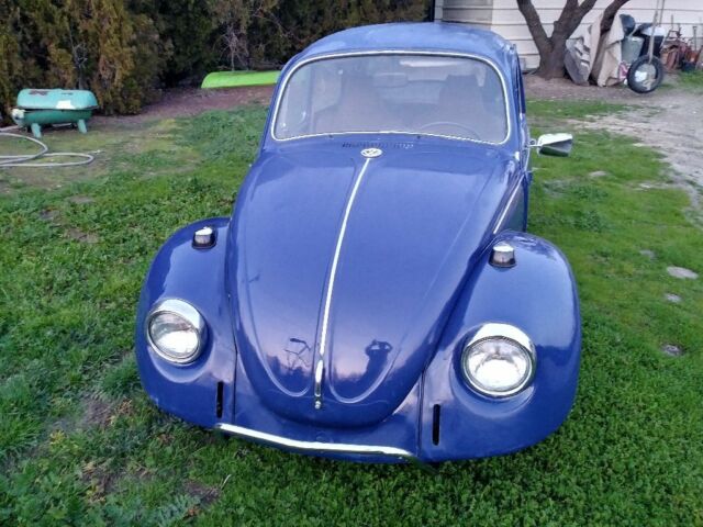 1970 Volkswagen Beetle - Classic - photo 8