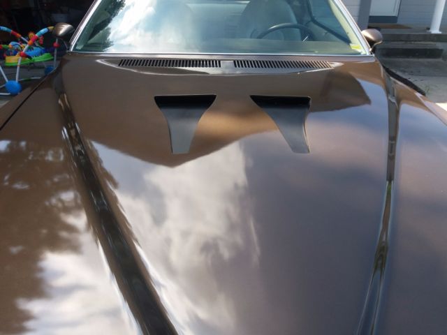 1973 Pontiac Grand Am - photo 5
