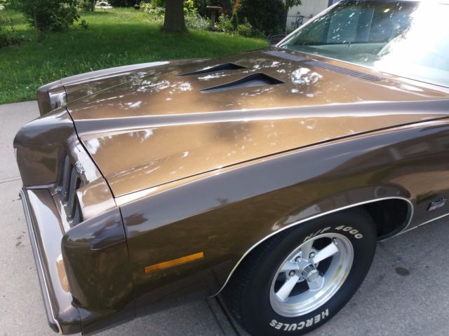 1973 Pontiac Grand Am - photo 8