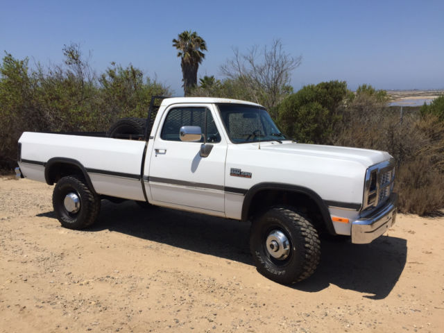 1991 Dodge Other Pickups LE - photo 2