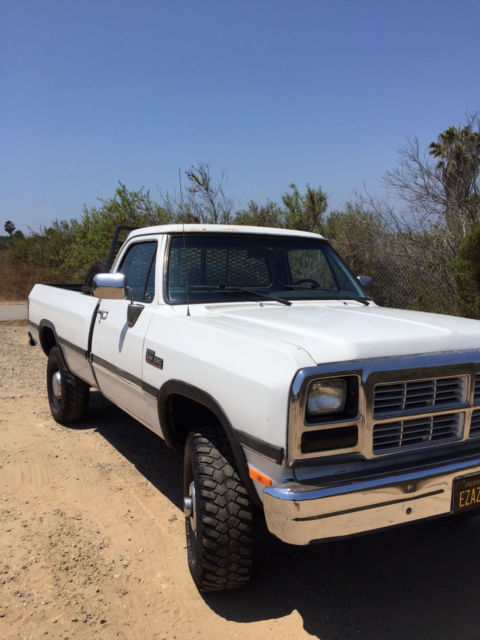 1991 Dodge Other Pickups LE - photo 3