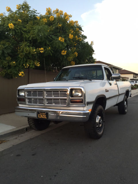 1991 Dodge Other Pickups LE - photo 8