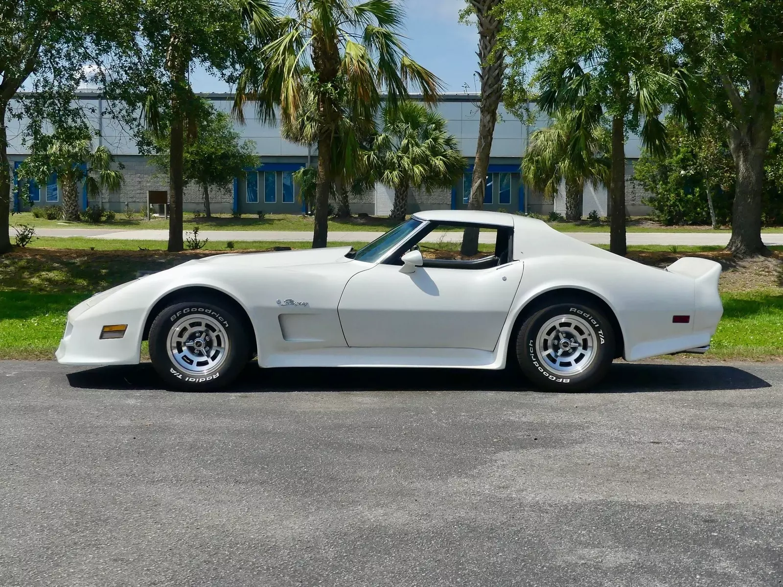 1976 Chevrolet Corvette Stingray - photo 12