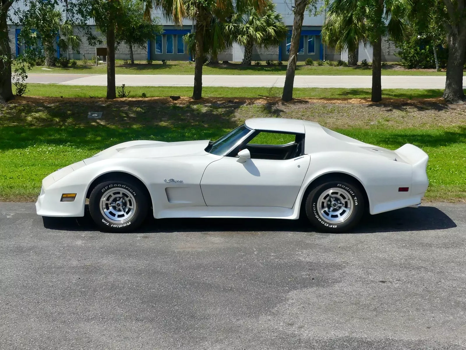 1976 Chevrolet Corvette Stingray - photo 13