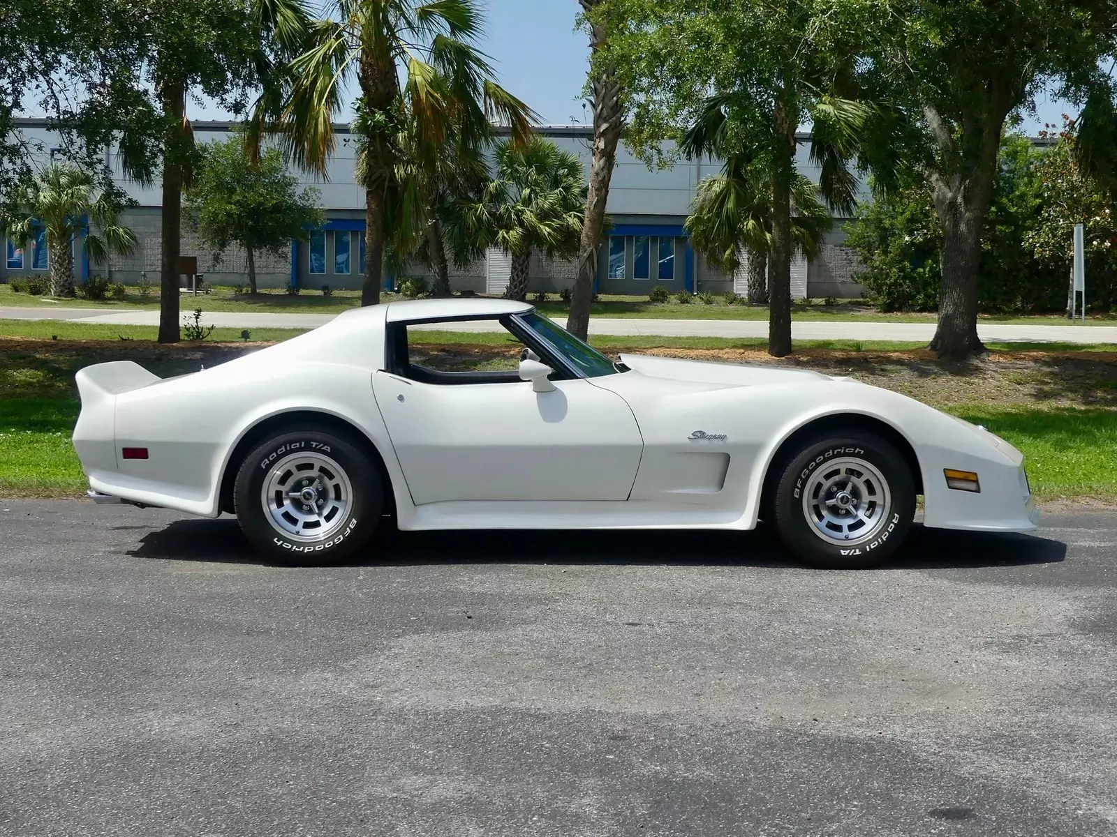 1976 Chevrolet Corvette Stingray - photo 3