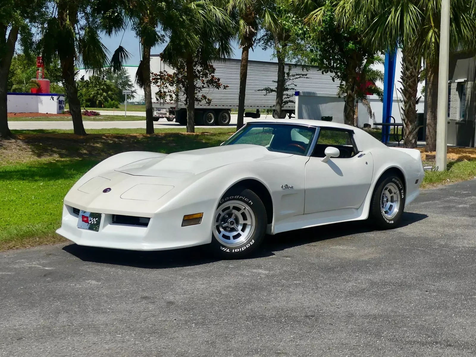 1976 Chevrolet Corvette Stingray - photo 9