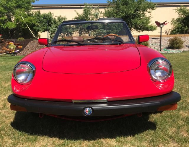 Clean driver quality car ! 1982 Alfa Romeo Spider