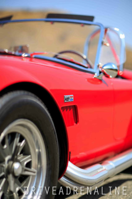 1965 Shelby Cobra CSX 6028 - photo 9