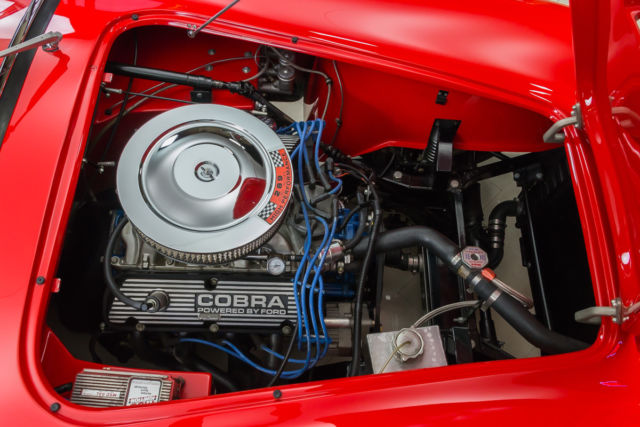 1964 Replica/Kit Makes Cobra FIA 289 Shelby Unique SuperFormance FFR - photo 8