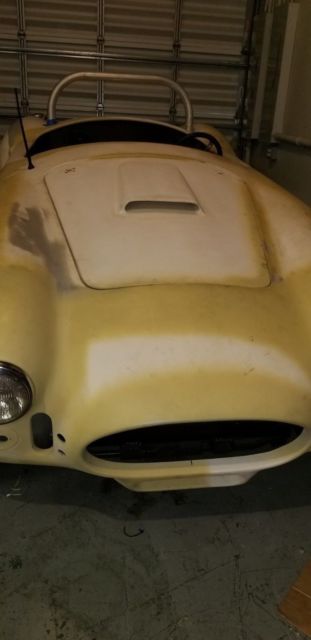 cobra replica project 1967 Replica/Kit Makes
