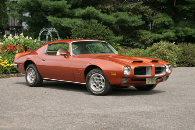 1971 Pontiac Firebird BASE COUPE 2-DOORS - photo 2