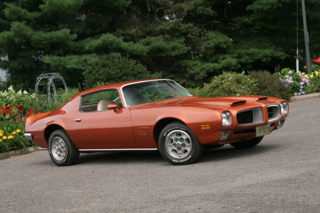 1971 Pontiac Firebird BASE COUPE 2-DOORS - photo 4