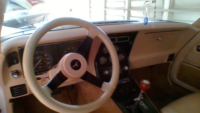 1980 Chevrolet Corvette - photo 10