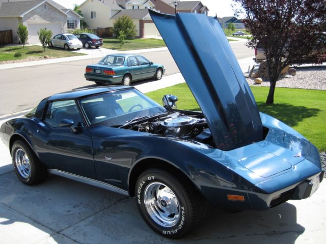 1979 Chevrolet Corvette L48 Coupe - photo 11