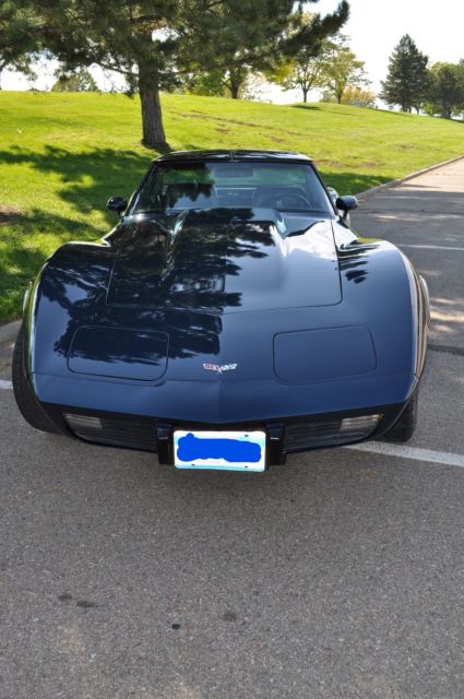 1979 Chevrolet Corvette L48 Coupe - photo 3