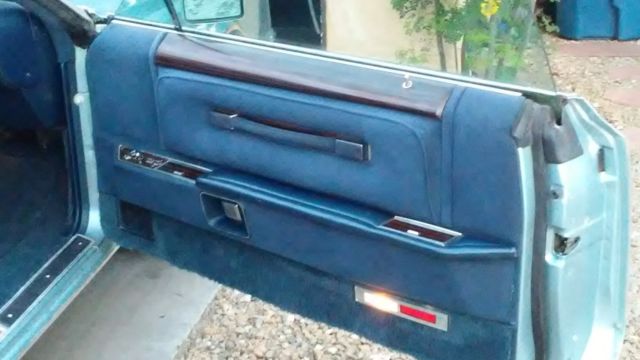 1979 Lincoln Mark Series - photo 8