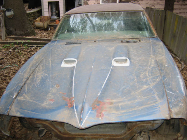 1968 Pontiac Firebird - photo 2
