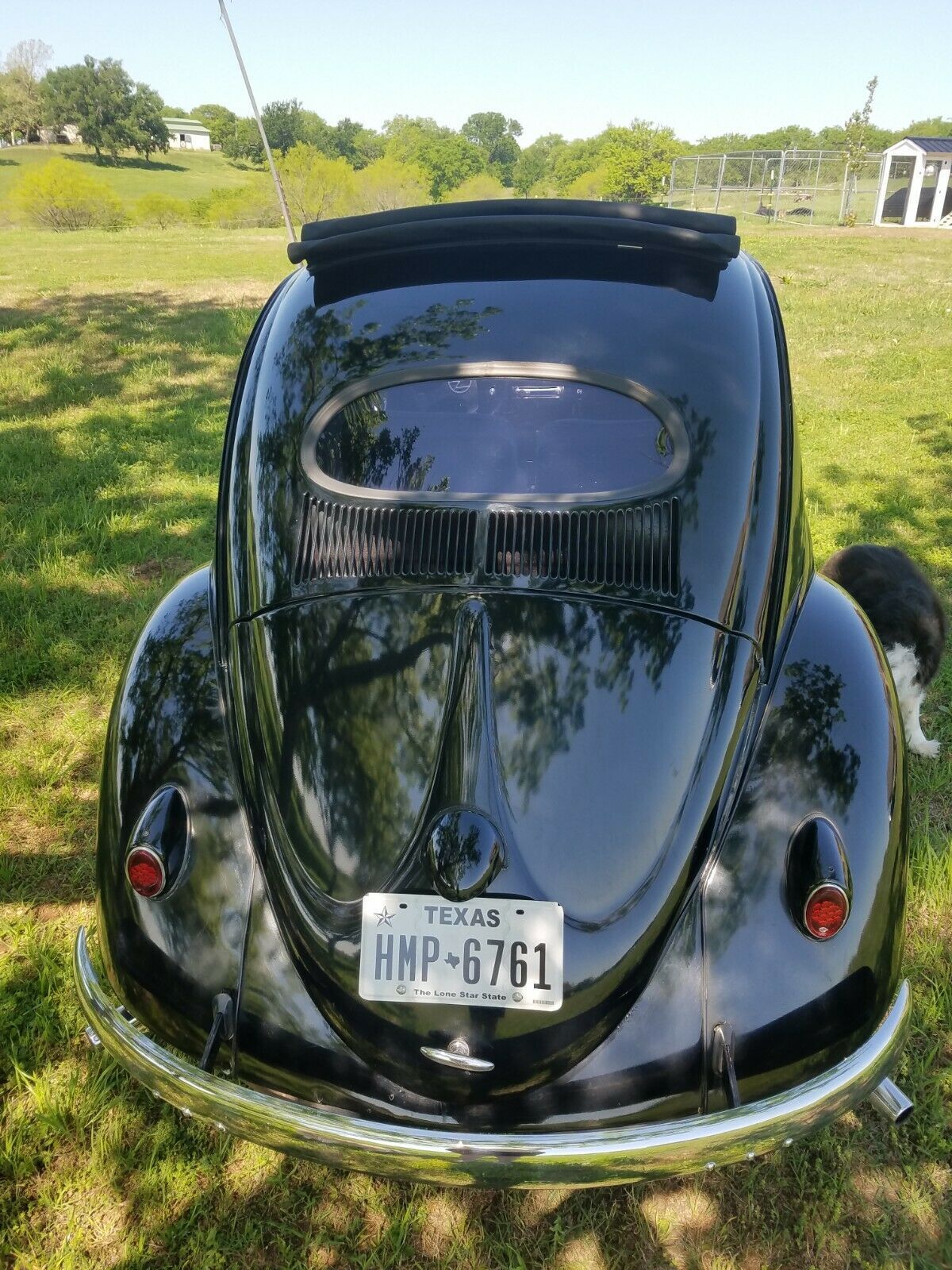 1969 Volkswagen Beetle - Classic - photo 2