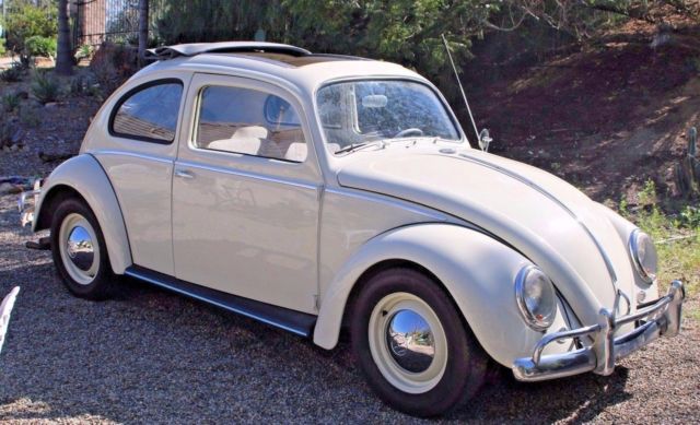 Cool Original Rust Free Body CA Bug Rag Top Custom split window LOW LOW RESERVE 1962 Volkswagen Beetle - Classic herbie bug
