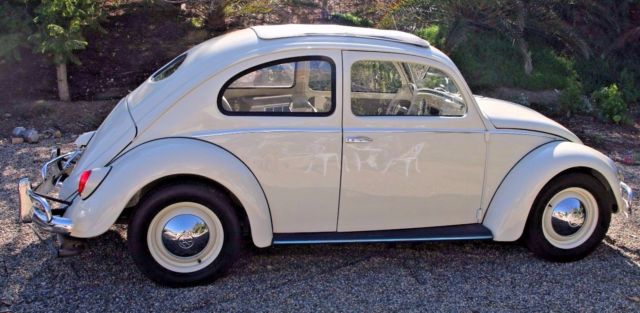 1962 Volkswagen Beetle - Classic herbie bug - photo 3
