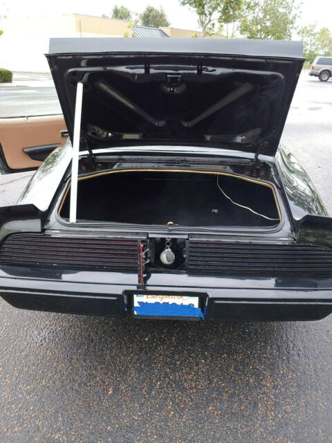 1979 Pontiac Firebird Trans Am - photo 11