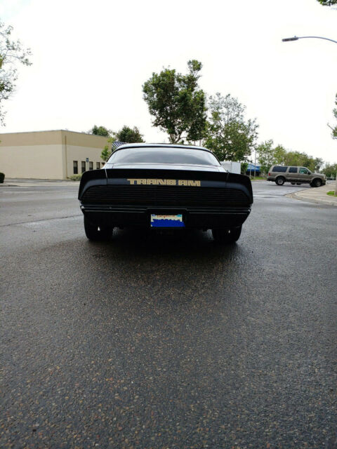 1979 Pontiac Firebird Trans Am - photo 4