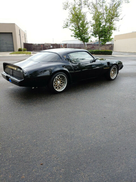 1979 Pontiac Firebird Trans Am - photo 5
