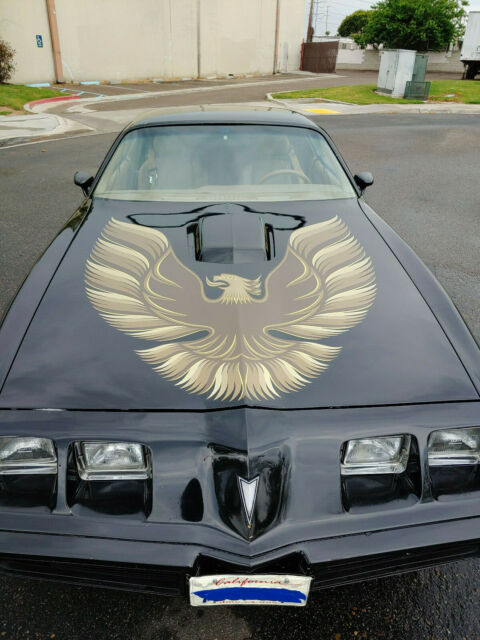 1979 Pontiac Firebird Trans Am - photo 7