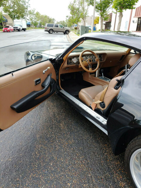 1979 Pontiac Firebird Trans Am - photo 8
