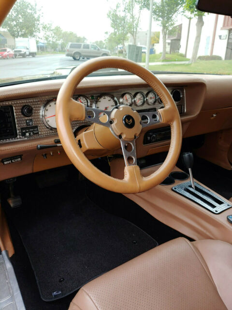 1979 Pontiac Firebird Trans Am - photo 9
