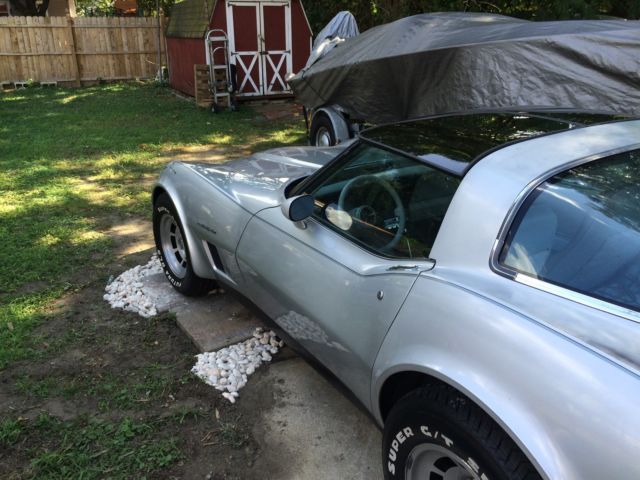 1982 Chevrolet Corvette Silver - photo 9