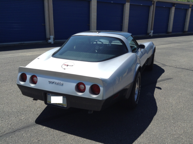1981 Chevrolet Corvette - photo 12