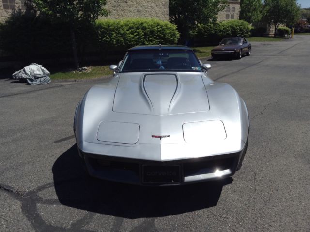 1981 Chevrolet Corvette - photo 9