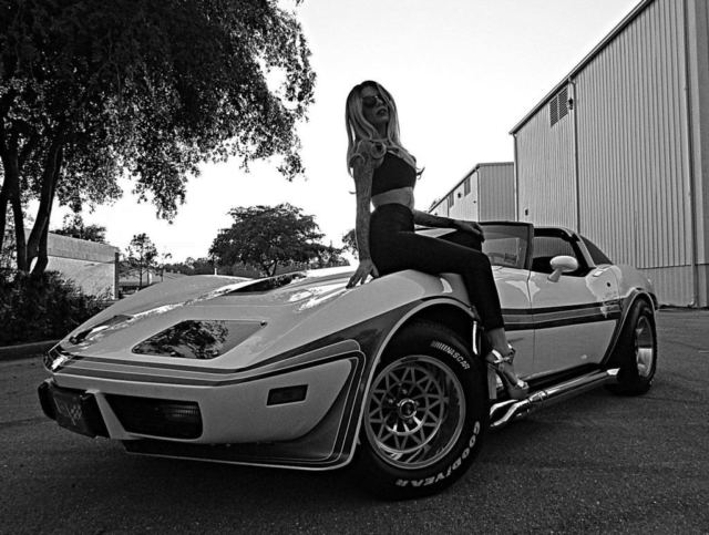 1976 Chevrolet Corvette - photo 3