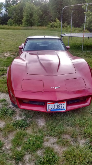 1980 Chevrolet Corvette Targa Top - photo 5
