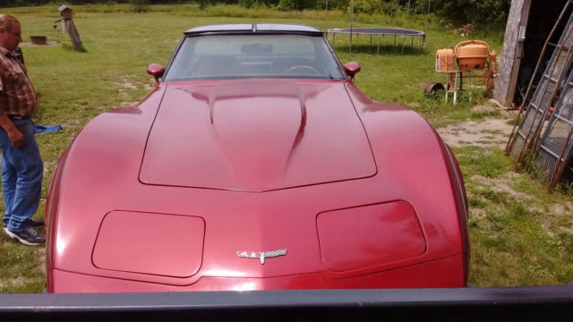 1980 Chevrolet Corvette Targa Top - photo 9