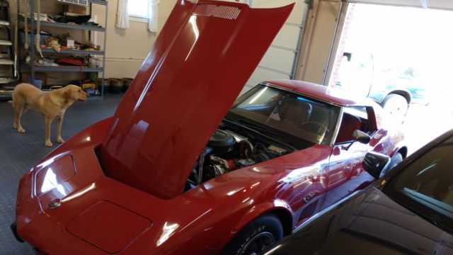 1976 Chevrolet Corvette - photo 6