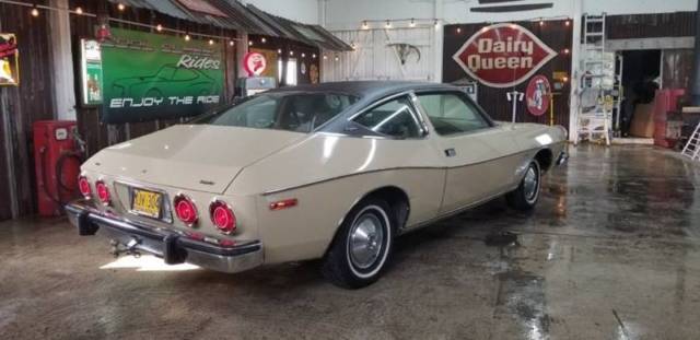1974 AMC Other Brougham - photo 8