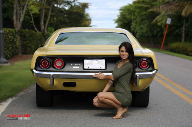1973 Plymouth Barracuda Cuda 6 Pack - photo 11