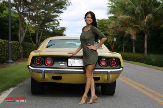 1973 Plymouth Barracuda Cuda 6 Pack - photo 12