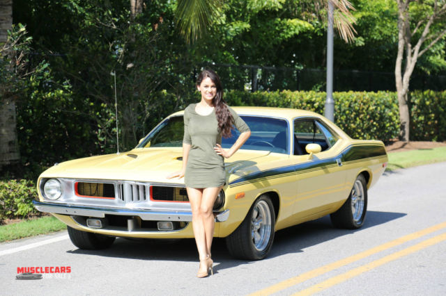 1973 Plymouth Barracuda Cuda 6 Pack - photo 3