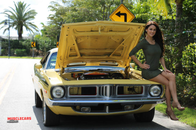 1973 Plymouth Barracuda Cuda 6 Pack - photo 6