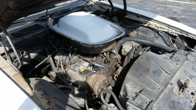 1977 Pontiac Trans Am - photo 7