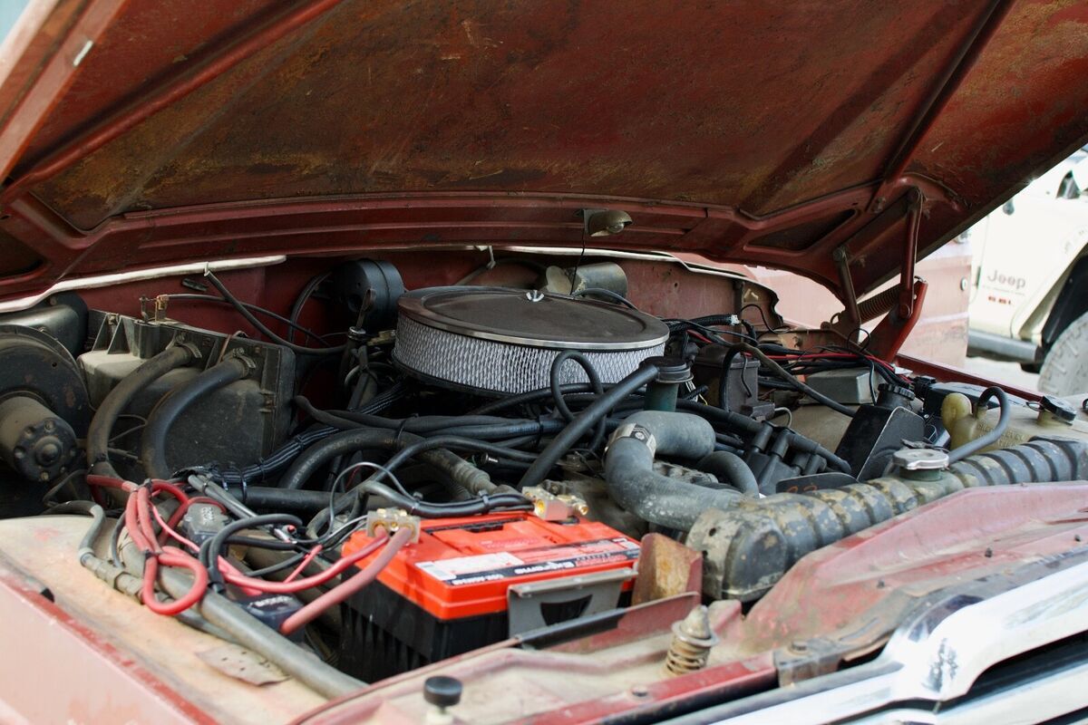 1979 Jeep Wagoneer - photo 5