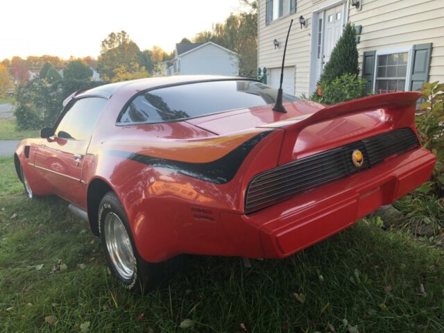 1979 Pontiac Trans Am Trans Am - photo 2