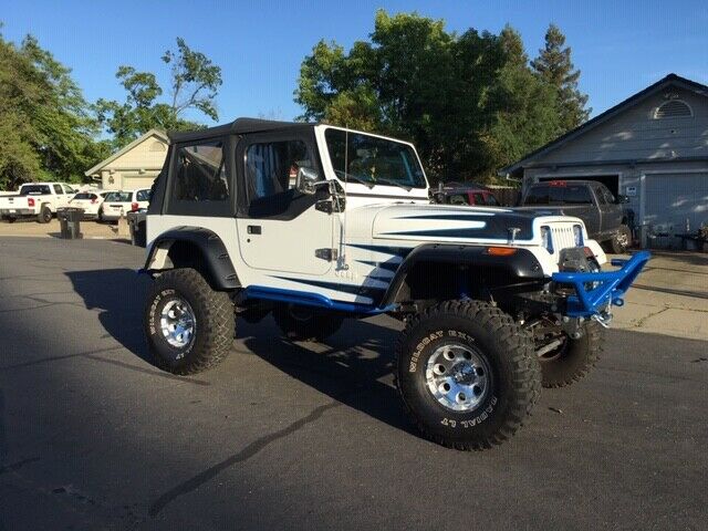 1993 Jeep Wrangler Custom - photo 2