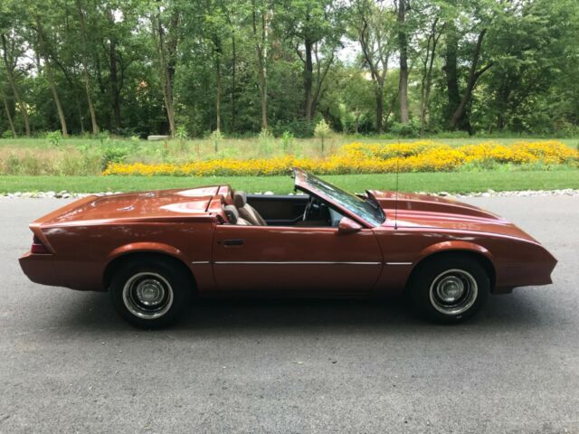 1984 Chevrolet Camaro Berlinetta 2dr Hatchback - photo 6