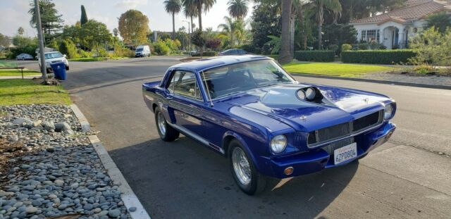 Custom Built G.T 347. More then 30 photos and 2 videos in description 1966 Ford Mustang