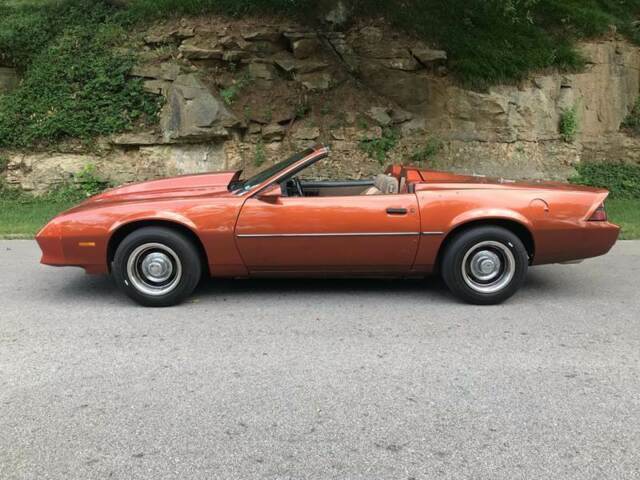 1984 Chevrolet Camaro Berlinetta 2dr Hatchback - photo 3